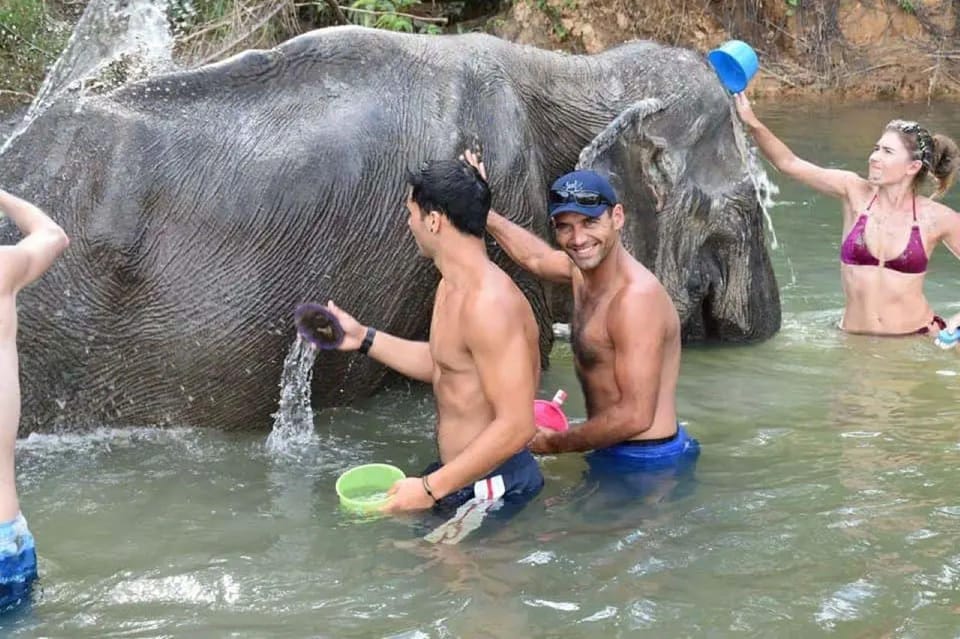 Krabi: Tiger Cave Temple and Elephant Sanctuary Visit - Pickup Location and Duration