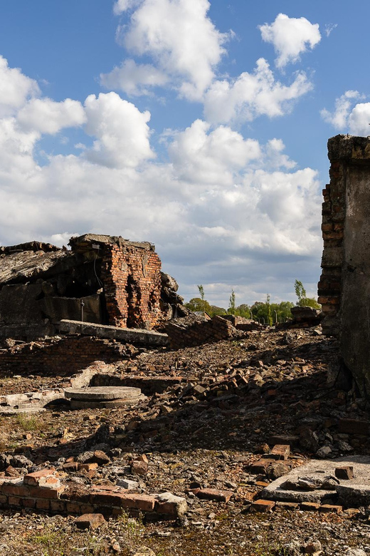 Krakow: Auschwitz-Birkenau Entry Ticket & Transportation - Booking Process and Options