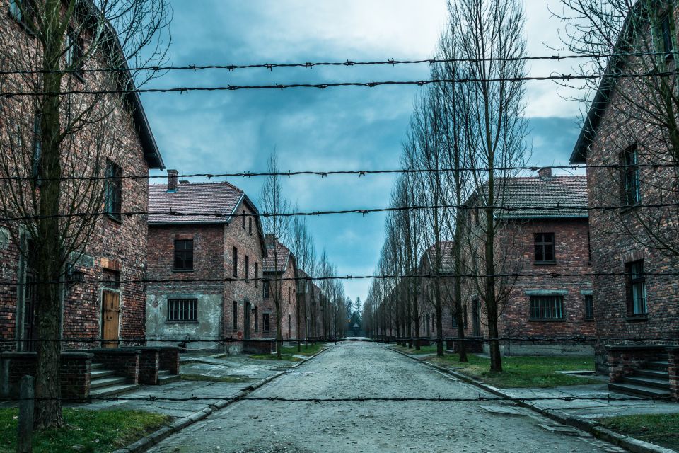 Kraków: Auschwitz-Birkenau & Salt Mine Full-Day Guided Tour - What to Expect on Tour