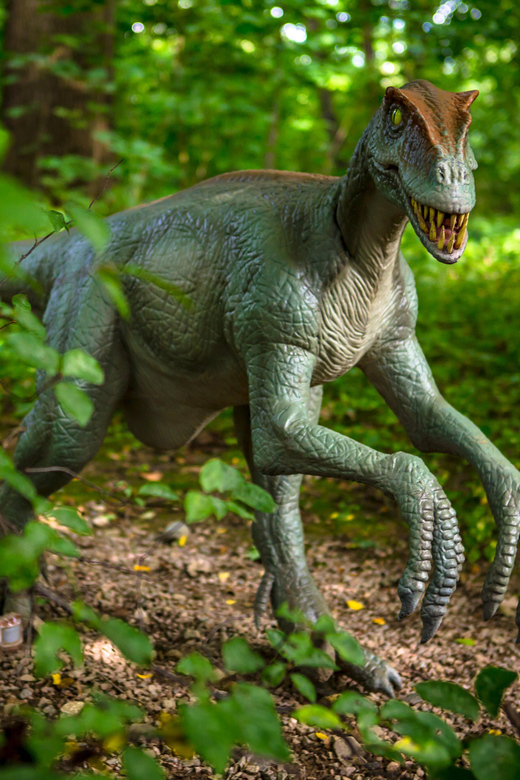 Krakow: Park of Moving Dinosaurs - Amusement Park - Day Tour - Customer Reviews and Testimonials