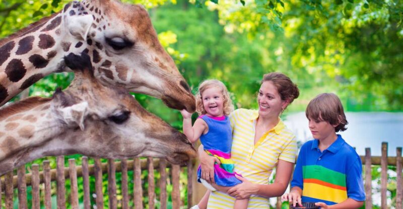 Krakow: Zoo Tour With Private Transport and Tickets - Cancellation Policy