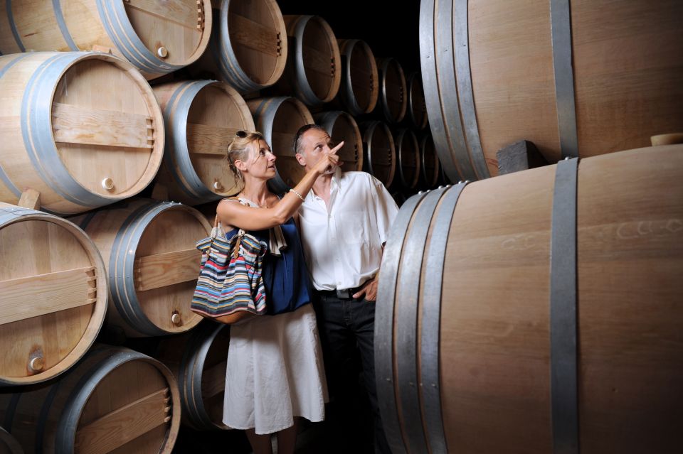 Krk: Family-Owned Winery Tour and Tasting - Guided Tasting of 7 Wines