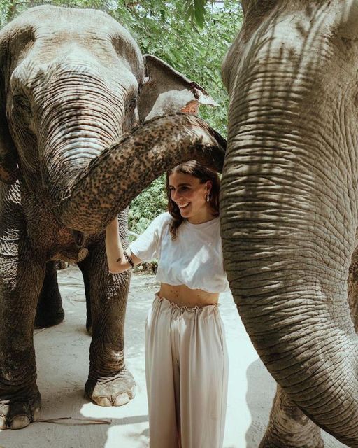 Kulen Elephant Forest Siem Reap in Small Group - What to Bring