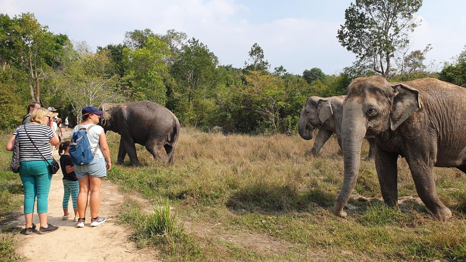 Kulen Elephant Forest & Tonlesap Lake - Wildlife Interaction