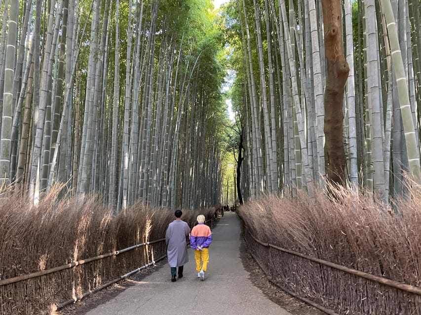 Kyoto: Highlights of Arashiyama in 2 Hours - Guided Tour - Inclusions and Pricing