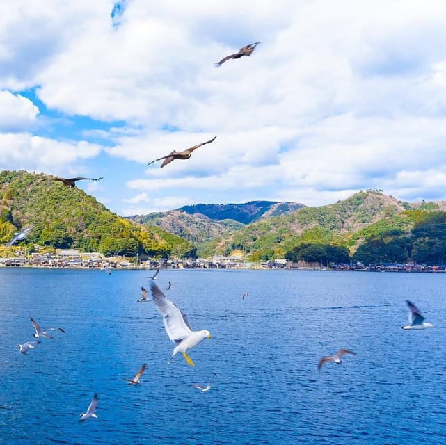 Kyoto/Osaka: Amanohashidate and Ine Boathouse Full-Day Tour - Scenic Attractions