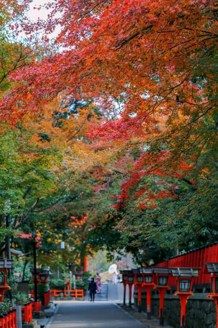 Kyoto/Osaka: Kiyomizu-dera Temple,Nara Park Day Trip - Weather Considerations