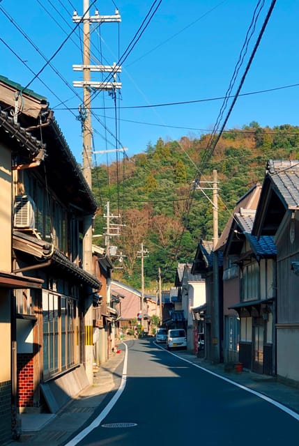 Kyoto/Osaka: Kyoto White Sandbar,Ines Boat Houses Day Trip - Customer Feedback