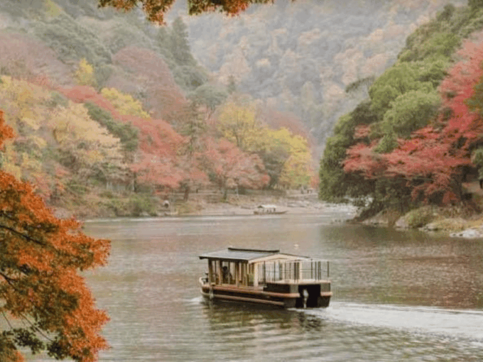 Kyoto: Private Full Day Car Tour by English Speaking Driver - Accessibility Considerations