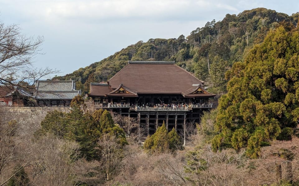 Kyoto: Unscripted Walking Tours W/Locals 3h 5h 8h - Customer Experiences