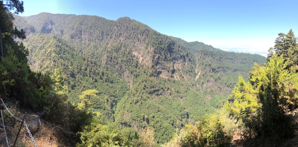 La Palma: Guided Trekking Tour Springs Marcos Y Cordero - Frequently Asked Questions