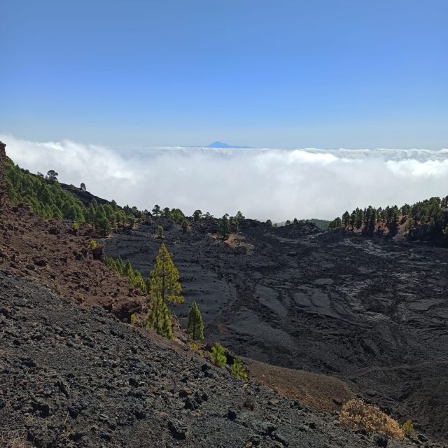 La Palma: Guided Trekking Tour to Volcanoes South - Booking and Cancellation Policy