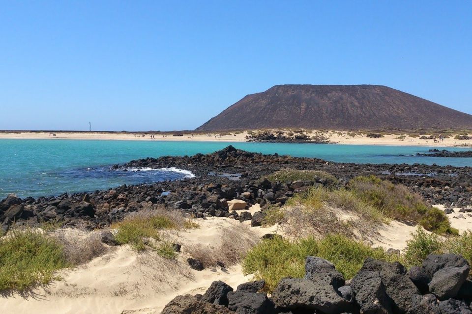 Lanzarote: Lobos Island Half-Day Dolphin Watching Trip - Transportation and Pickup