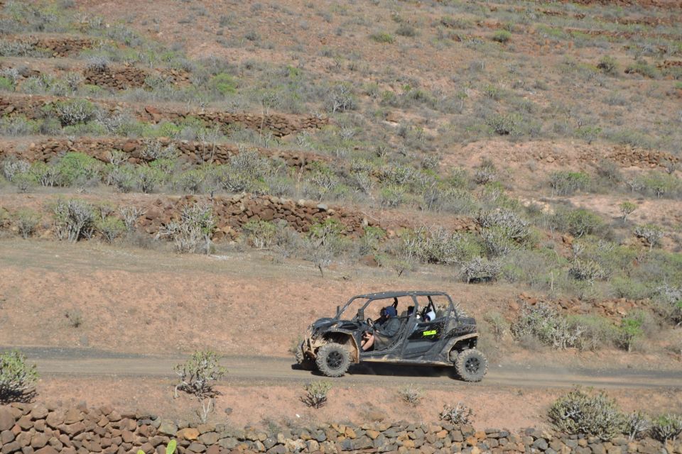 Lanzarote: Mix Tour Guided Buggy Volcano Tour 4 Seater - Buggy Specifications and Safety