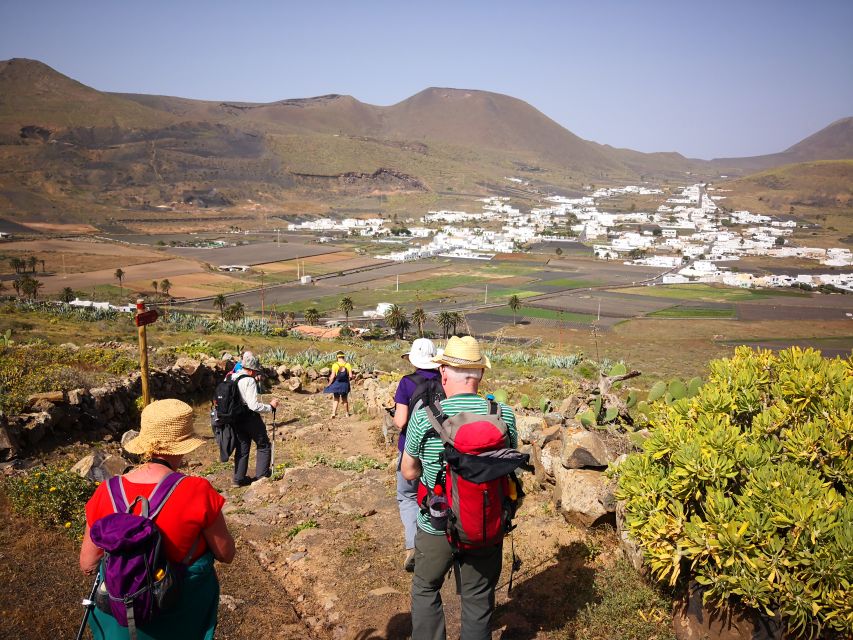 Lanzarote: Northern Cliffs & Valleys Walking Tour - Famara Cliffs and Viewpoints