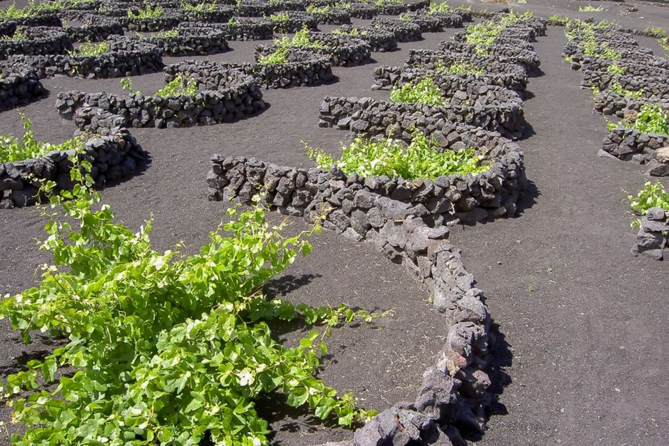 Lanzarote: Timanfaya Park and Jameos Del Agua Full-Day Tour - Pickup and Drop-off