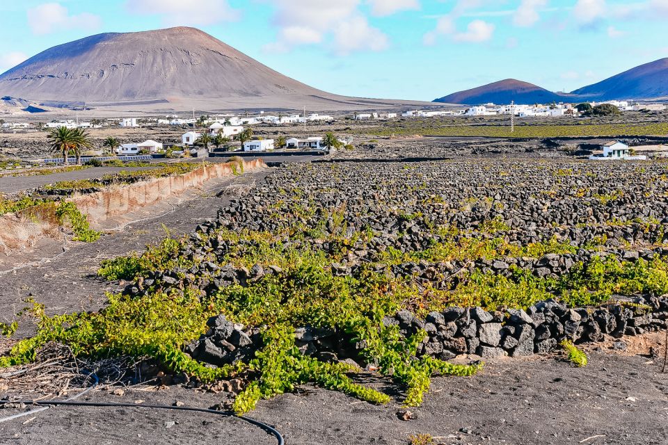 Lanzarote: Volcanos of Timanfaya and Caves Tour With Lunch - Preparation and Recommendations