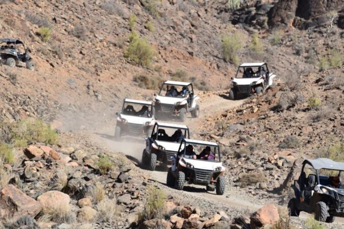 Las Palmas: Gran Canaria Guided Buggy Tour - Customer Feedback