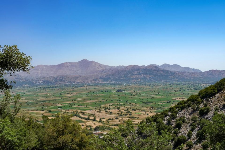 Lasithi Plateau, the Legendary Zeus Cave & Olive Oil Farm - Krasi Village Tour