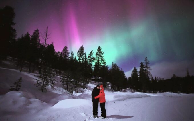 Levi: Aurora Borealis Bus & Snowshoe Tour With Hot Drink - What to Expect on the Tour