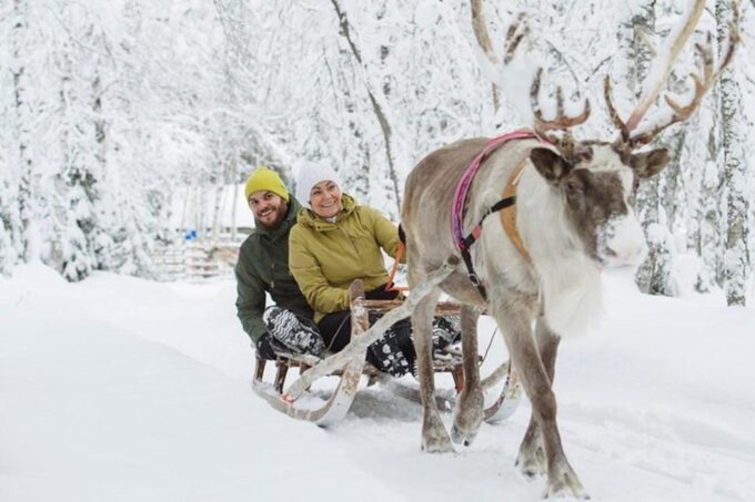 Levi: Lapland Reindeer Safari - Booking and Cancellation Policy