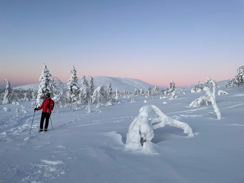 Levi: Pallas-Ylläs National Park Snowshoeing Tour - Frequently Asked Questions