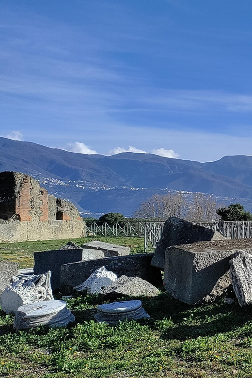 Life at Pompeii: Private Tour With Priority Access - Accessibility and Age Restrictions