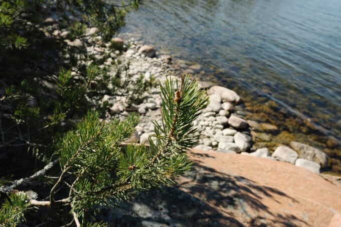Linlo : Exclusive Day Tour on an Island - Meeting Point