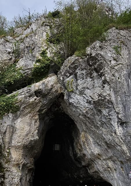 Ljubljana to Postojna Cave,Predjama Castle and Postojna Park - Tour Inclusions and Guide