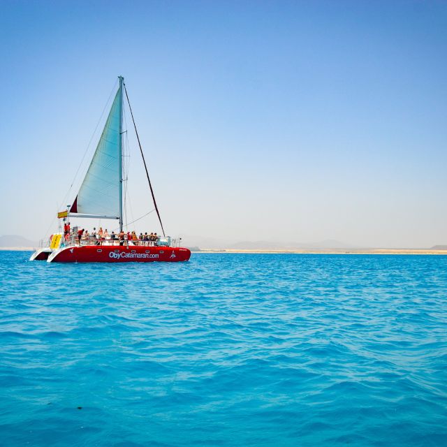 Lobos Island: 4-Hour Catamaran Trip With Lunch - Whats Included in the Tour