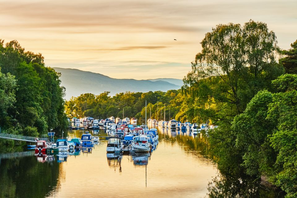 Loch Lomond: Scottish Highlands Sightseeing Cruise - Feedback and Reviews