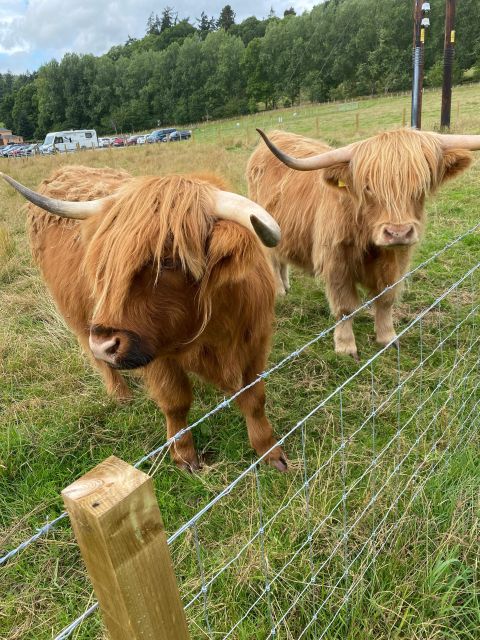 Loch Ness, Inverness and Outlander Sites From Invergordon - Exploring Inverness Highlights