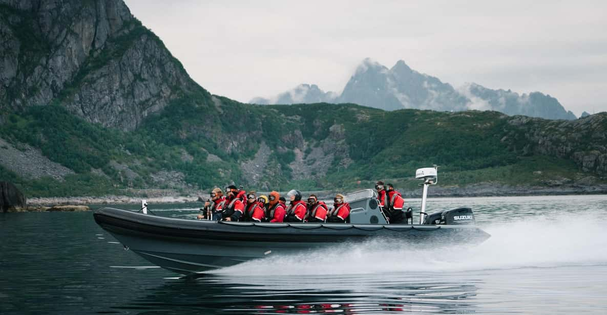 Lofoten: Trollfjord Sea Eagle Safari by RIB Boat - Wildlife and Scenic Views