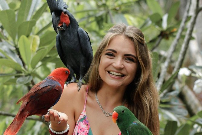 Lombok Wildlife Park Skip the Line Ticket - Accessibility Features and Tips