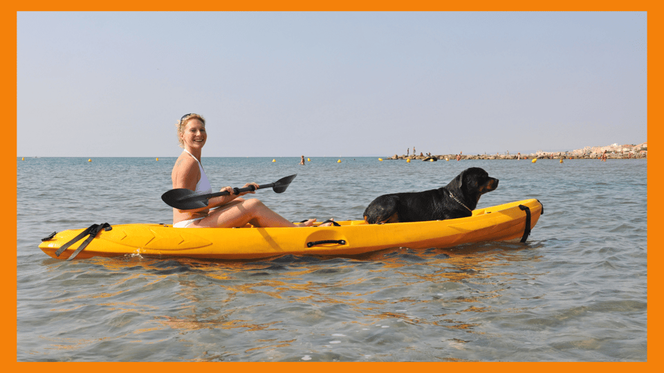 Los Angeles; Dog Friendly Tour - Boating, Kayaking, Ceramics - Frequently Asked Questions