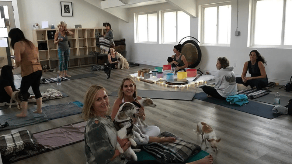 Los Angeles: Private Sound Bath & Reading for You & Your Dog - Frequently Asked Questions