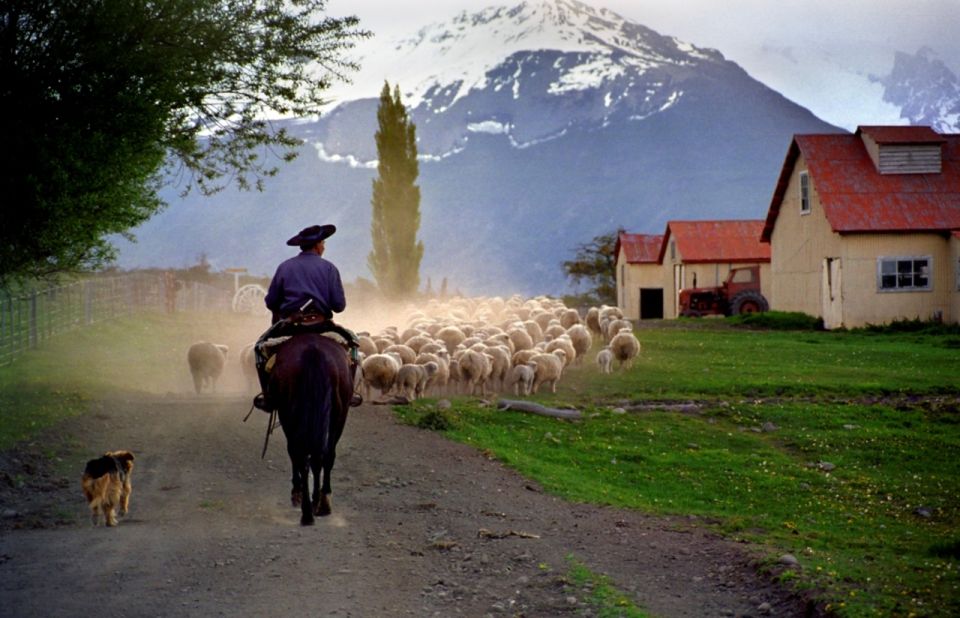 Los Glaciares National Park: Full-Day Pioneers Adventure - Booking Process