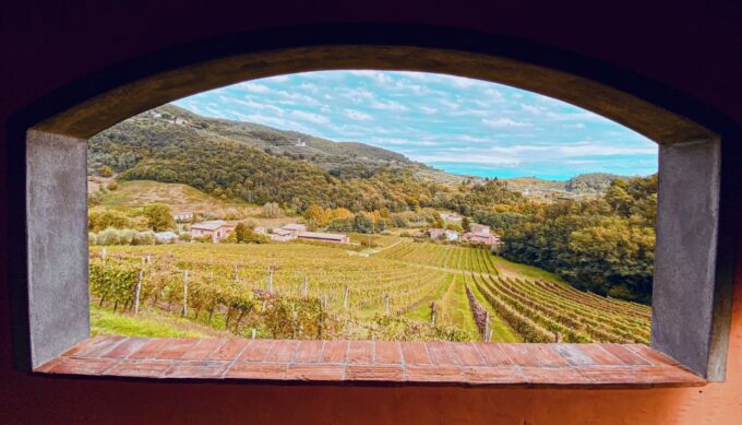 Lucca: Guided Winery Tour With Wine Tasting - Accessibility Information