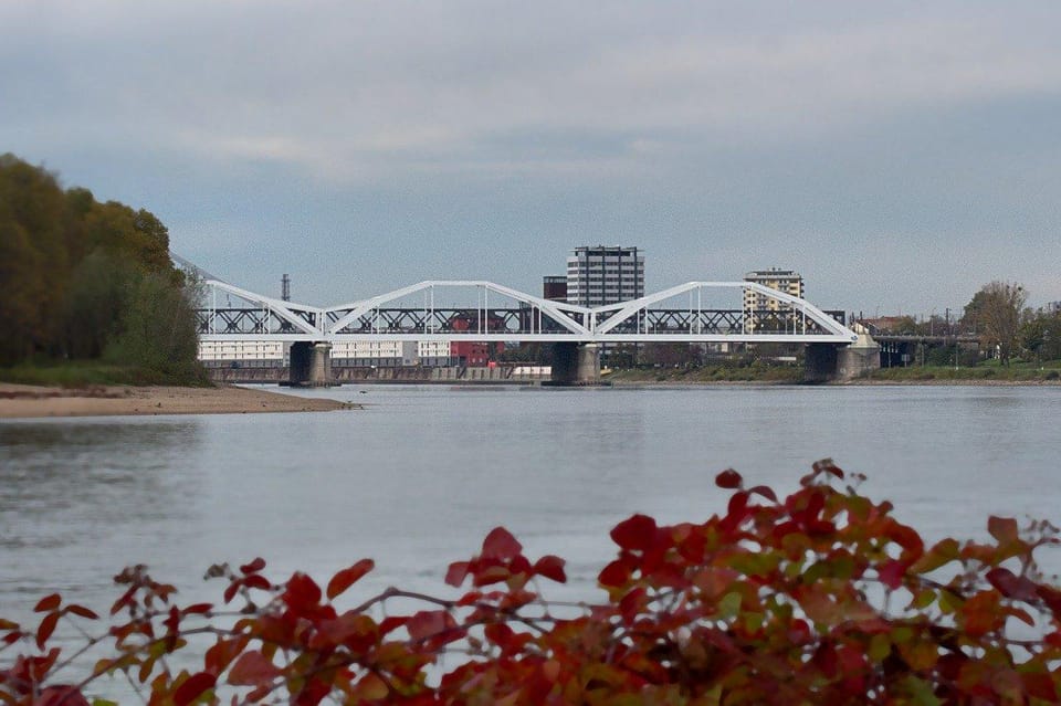 Ludwigshafen Am Rhein Private Guided Walking Tour - Personalized Insights From Local Guide