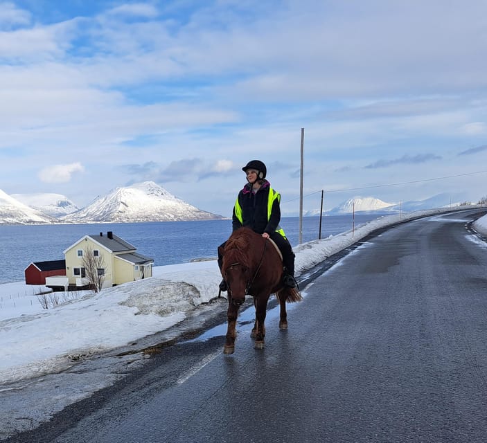 Lyngen Horseback Winter Riding Experience - Booking Your Adventure