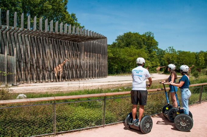 Lyon: City Segway Tour With a Local Guide - Learning From the Guide
