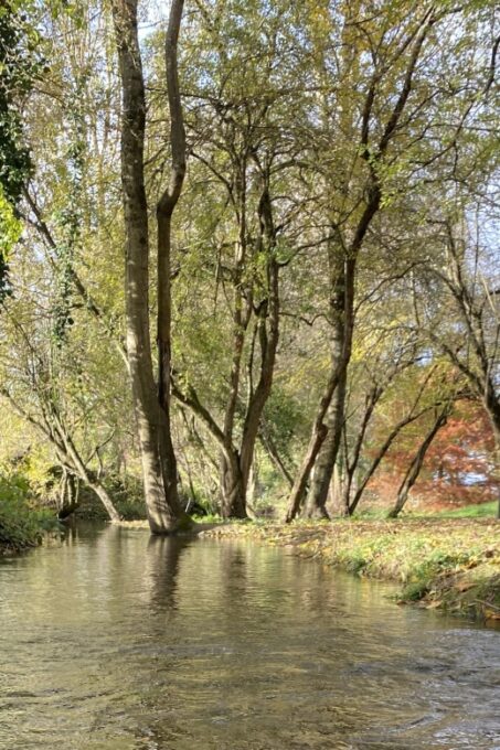 Lyon: Self-Guided Hike off the Beaten Track (Train & Picnic) - Important Requirements