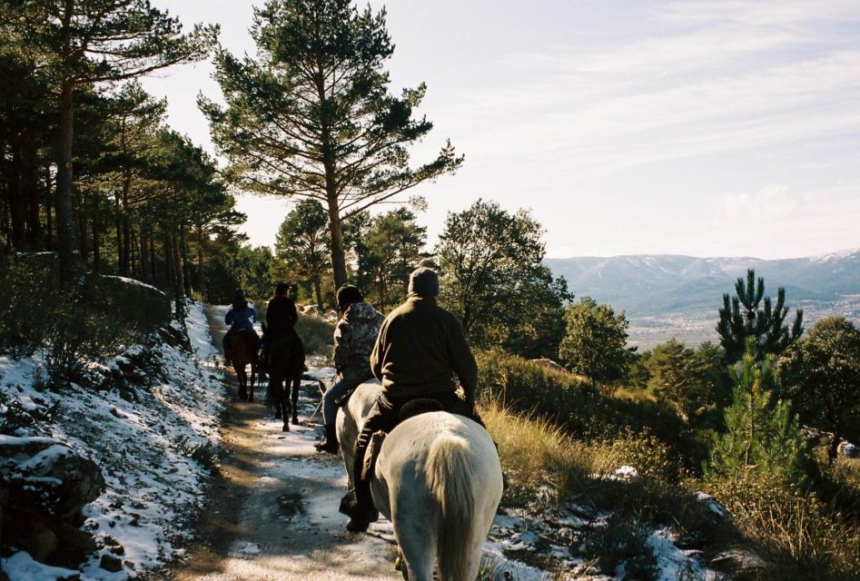 Madrid: Horse Riding in Sierra Del Guadarrama National Park - What to Expect on the Ride