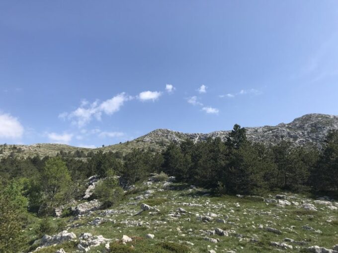 Makarska Rivijera: Half-Day Hiking Tour in Nature Park - Tour Inclusions