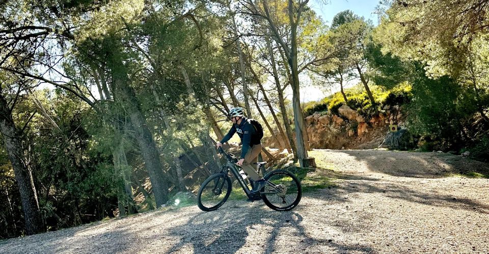 Málaga: Guided Tour With Electric Bike El Chorro - Exploring El Chorros Landscapes