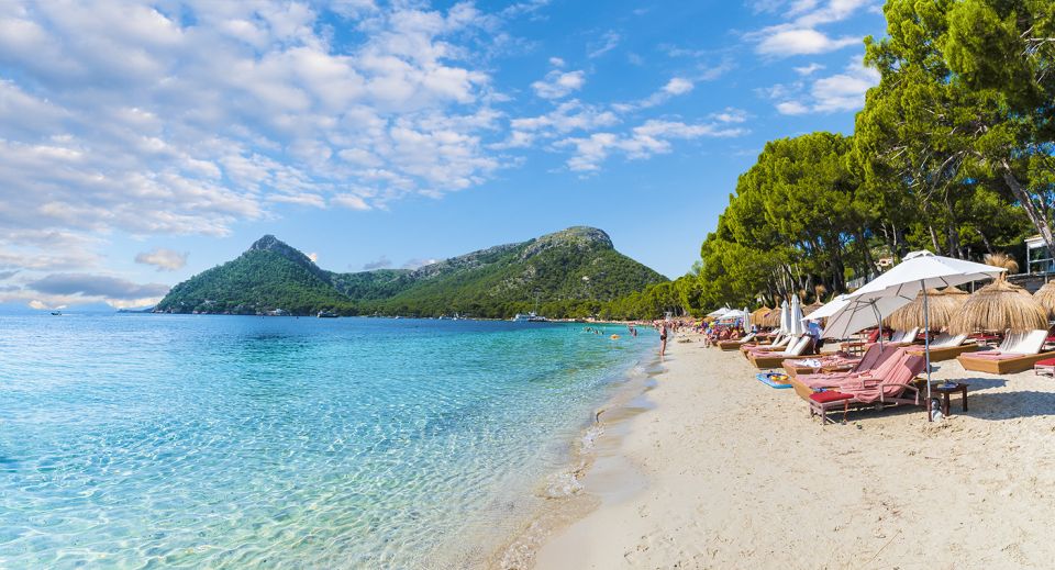 Mallorca: Alcudia Old Town, Market, and Formentor Beach - Taking in the Local Market