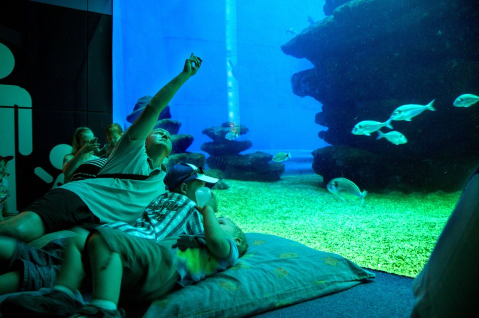 Mallorca: Palma Aquarium Tickets With Transfer - Transportation Details