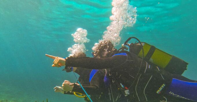 Mallorca: Private Beginner Scuba Dive With Photos and Video - Cancellation Policy and Refunds
