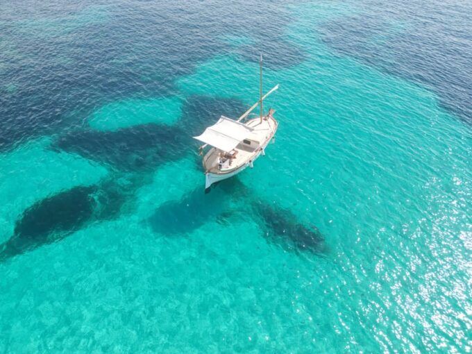 Mallorca: Sailing 100% Electric Boat + Snorkel + Aperitive - Customer Testimonials