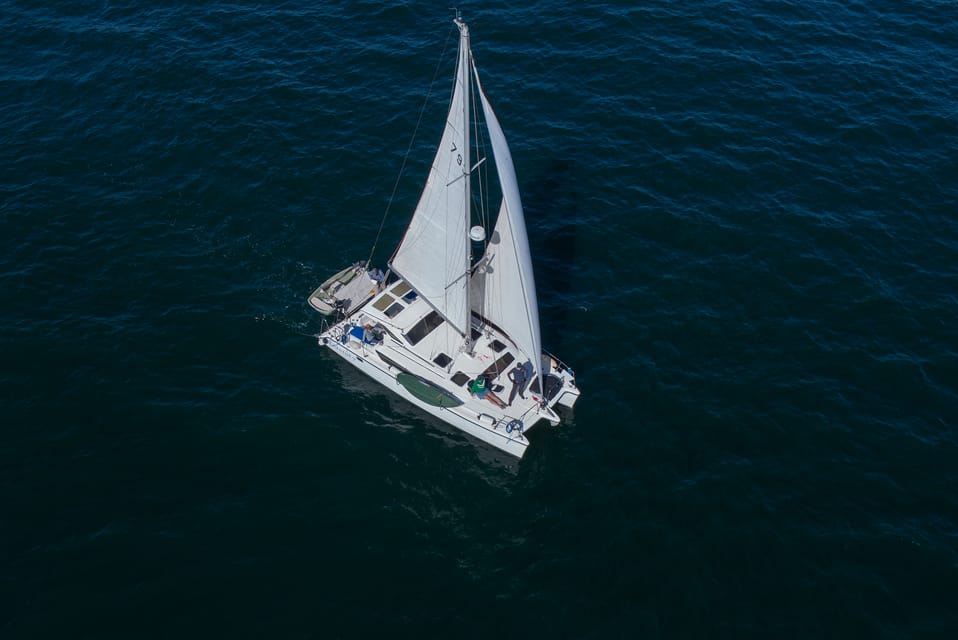 Marina Del Rey : 2 Hour Private Catamaran Marina Tour - Wildlife Viewing Opportunities